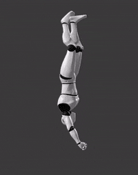 Inverted Rappel
