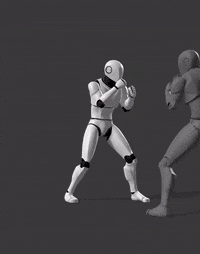 D2-Attack-Punch & Sweep Kick